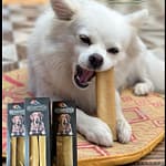 Dog Chew
