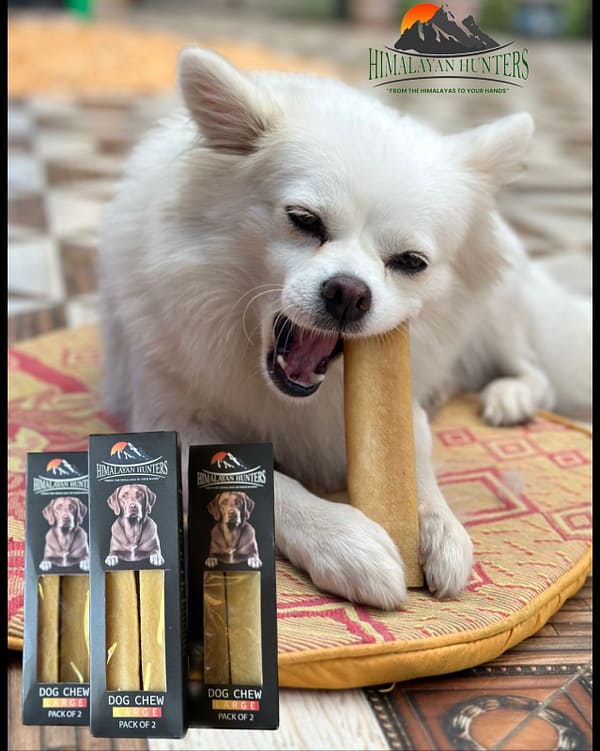 Dog Chew - Image 2